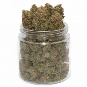Gucci OG