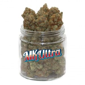 MK ultra