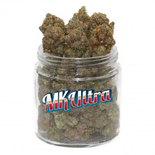 MK ultra