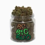 BC Big Bud
