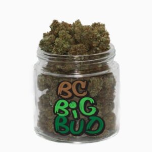 BC Big Bud