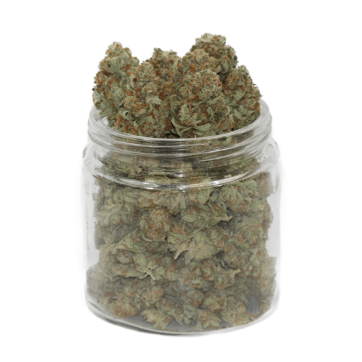 Golden Kush