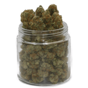 mendocino purps